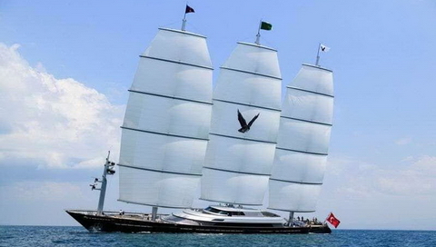 Maltese Falcon.jpg